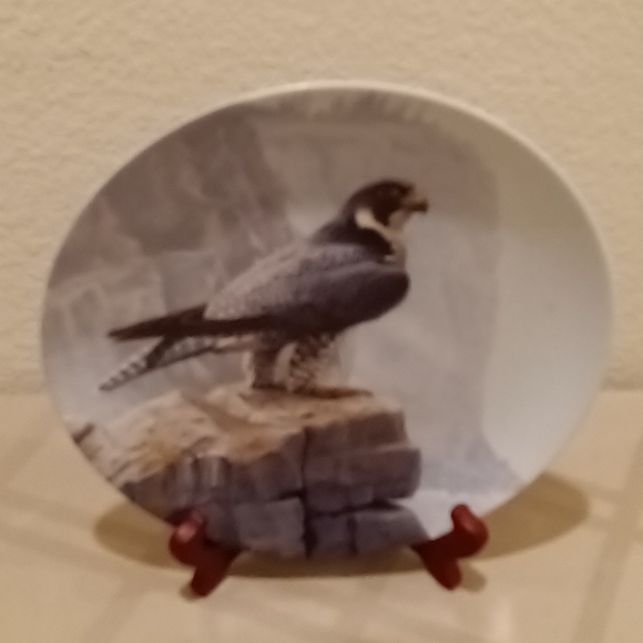 Collector Plate - Picture 3 of 10